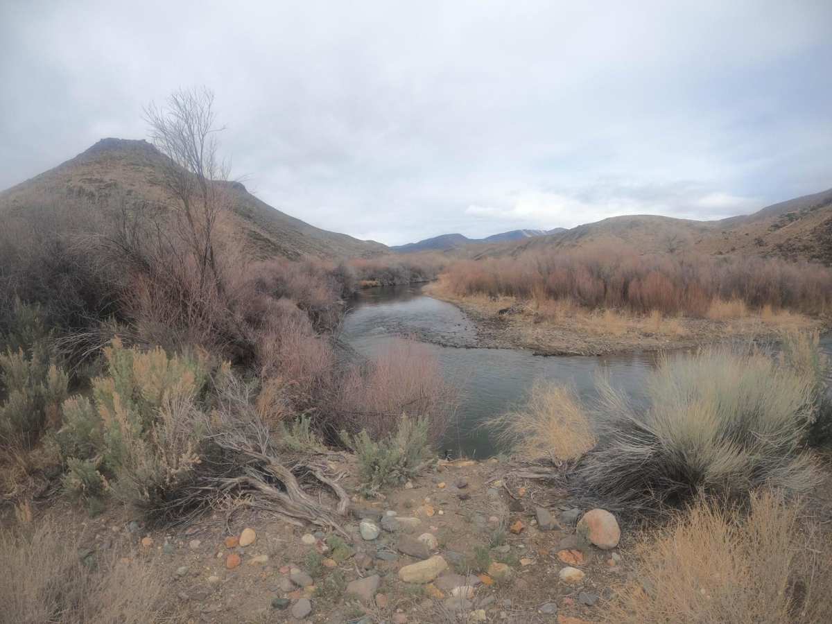 Hawthorne-Fletcher Rd/42028 photo 6