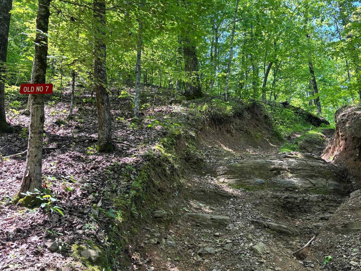 Old Number 7 trail photo