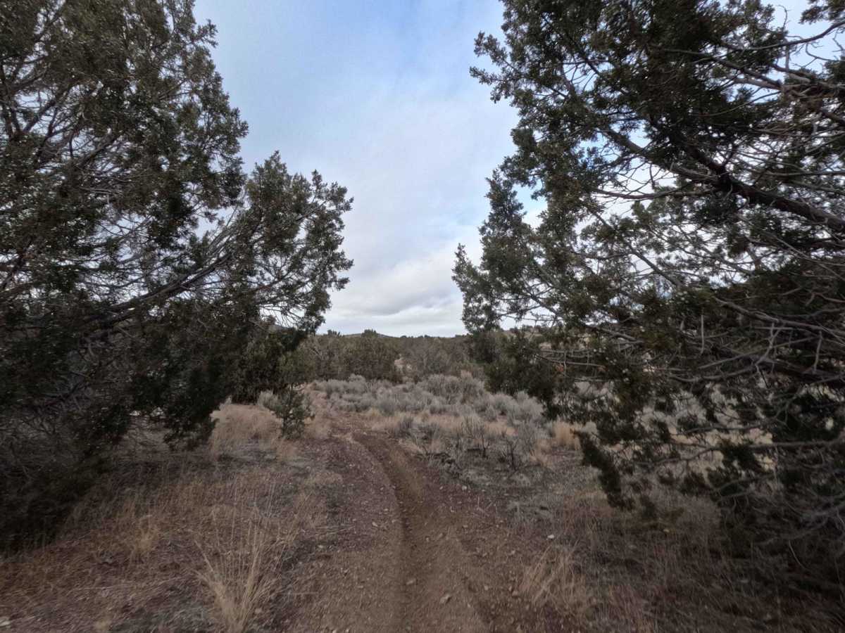 502 trail photo