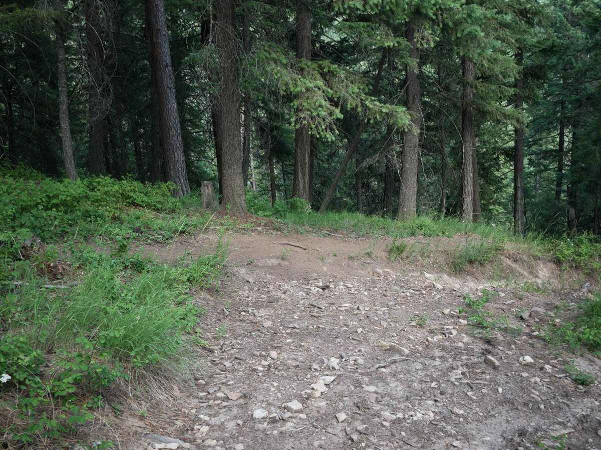 Canfield Mountain- Trail 3 photo 4