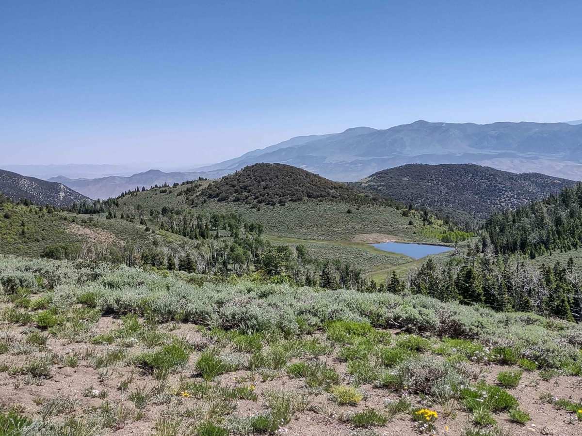 Piute Reservoir Overlook (FS# 41081) photo 4