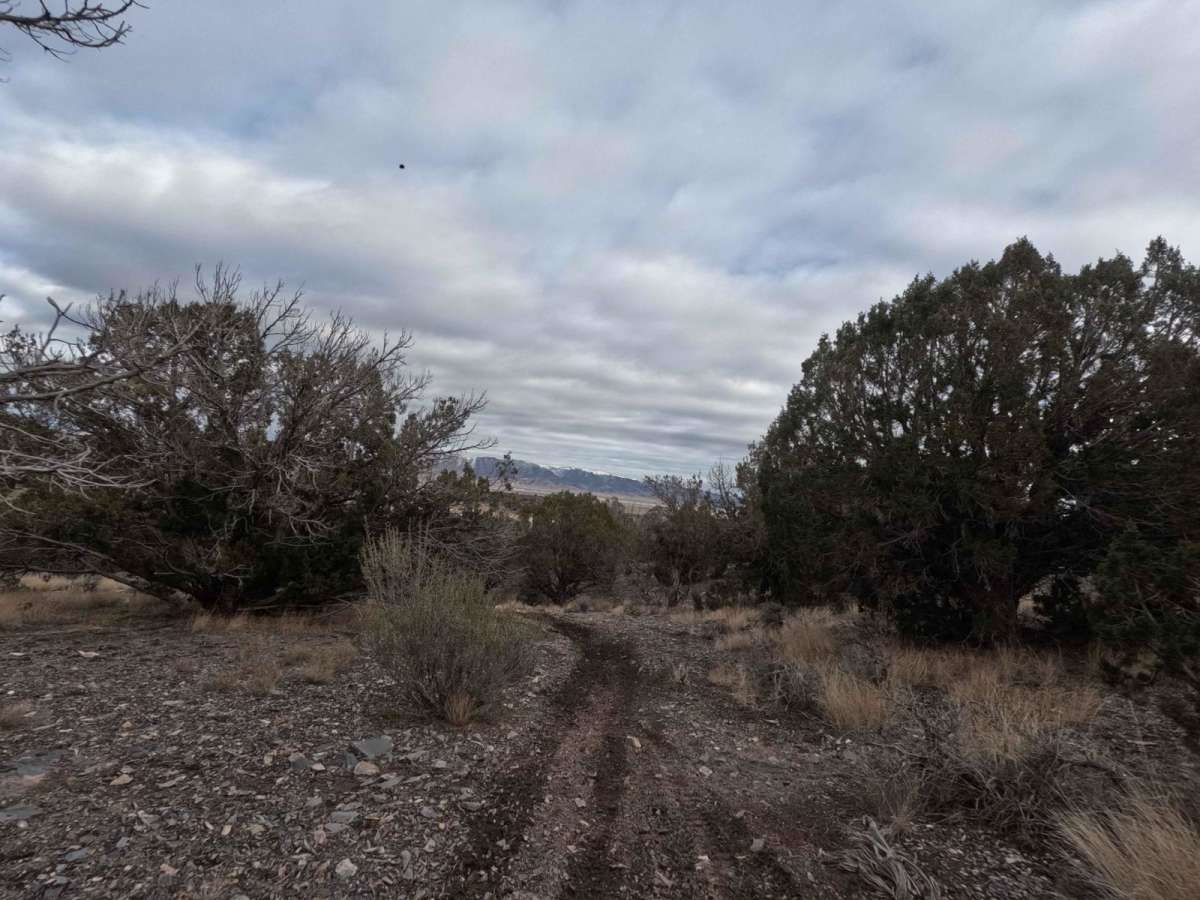 503 trail photo