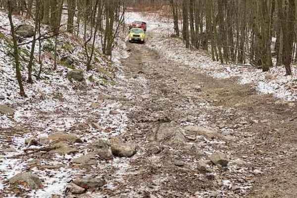 102 Green