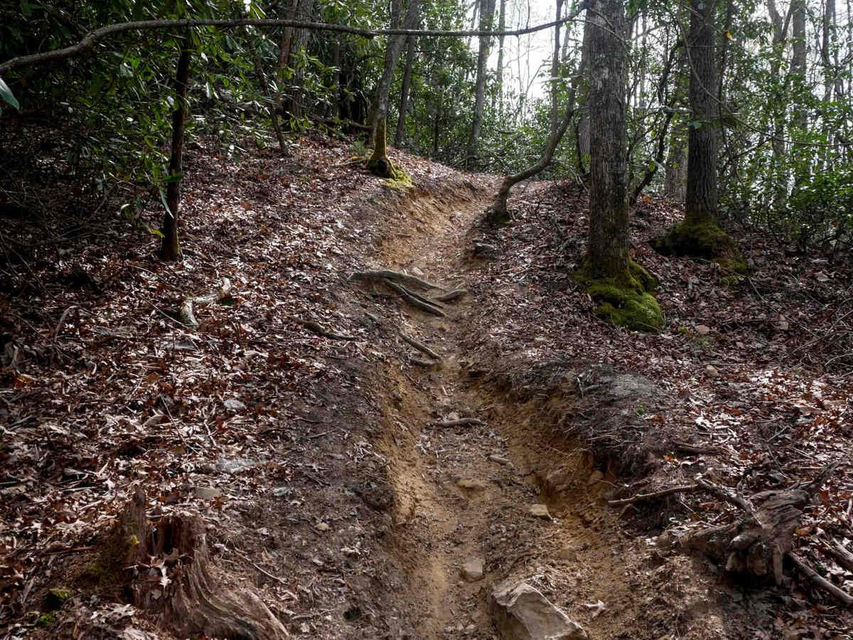 A2 trail photo