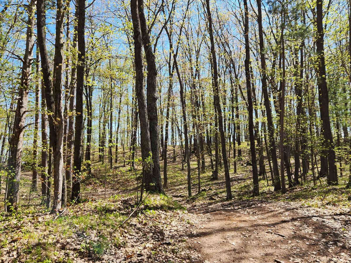 Trail 57 photo 4
