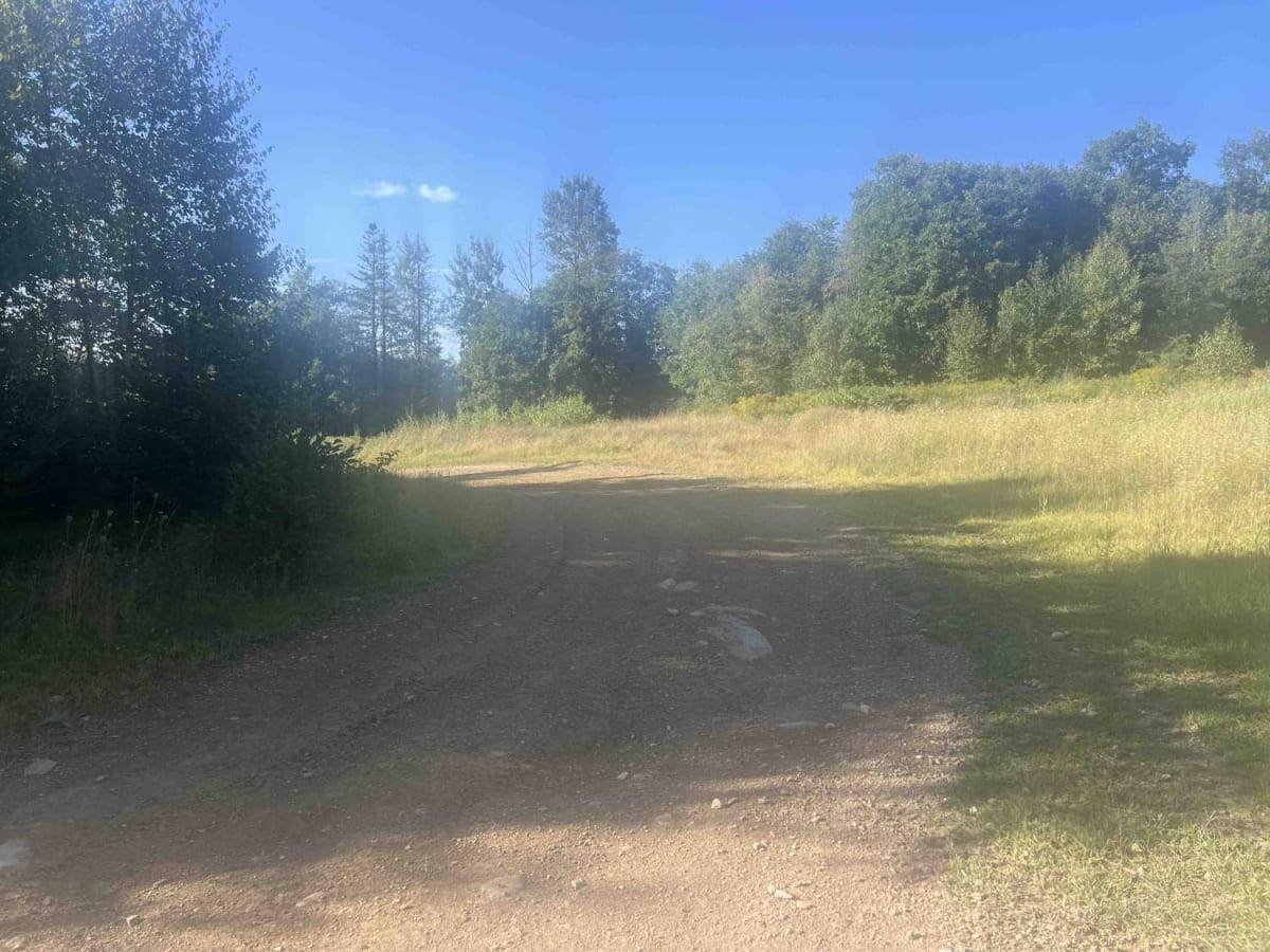 Corinna Loop Trail photo 3