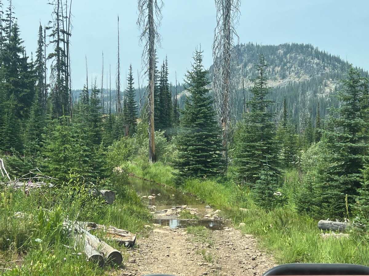 Cottontail Point Road trail photo