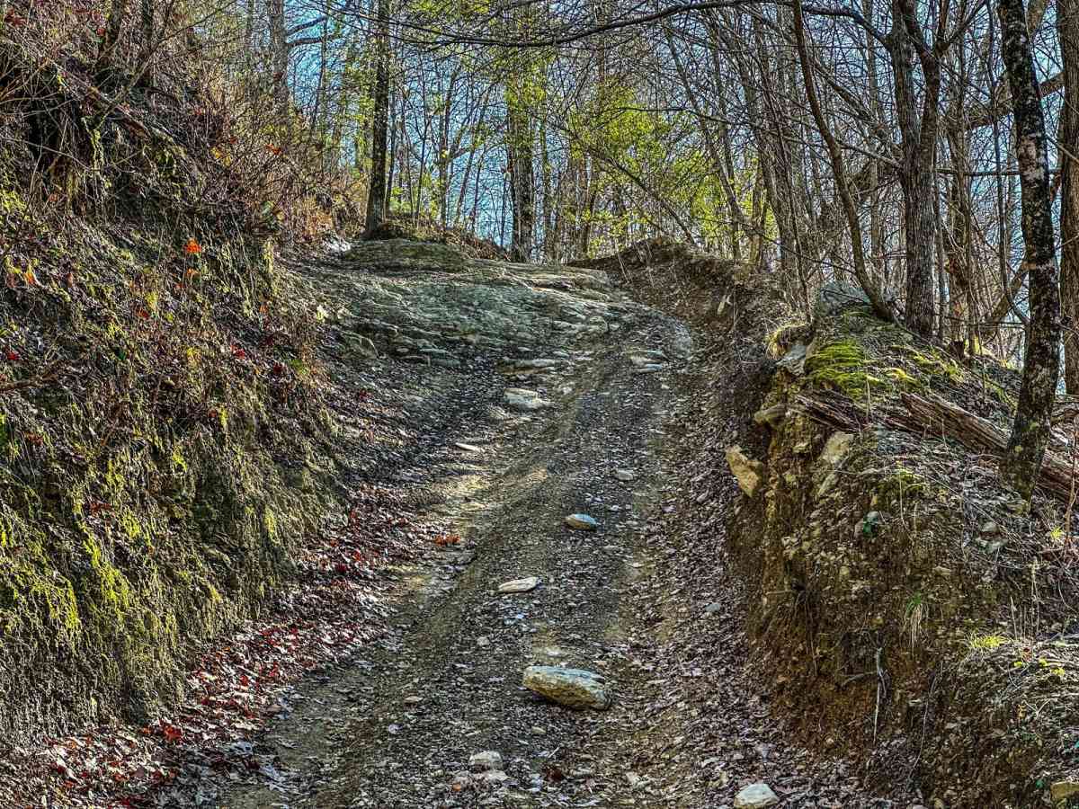 Switchback photo 3