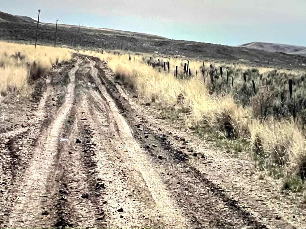 Scenic Loop To Leslie Gulch Cutoff trail photo