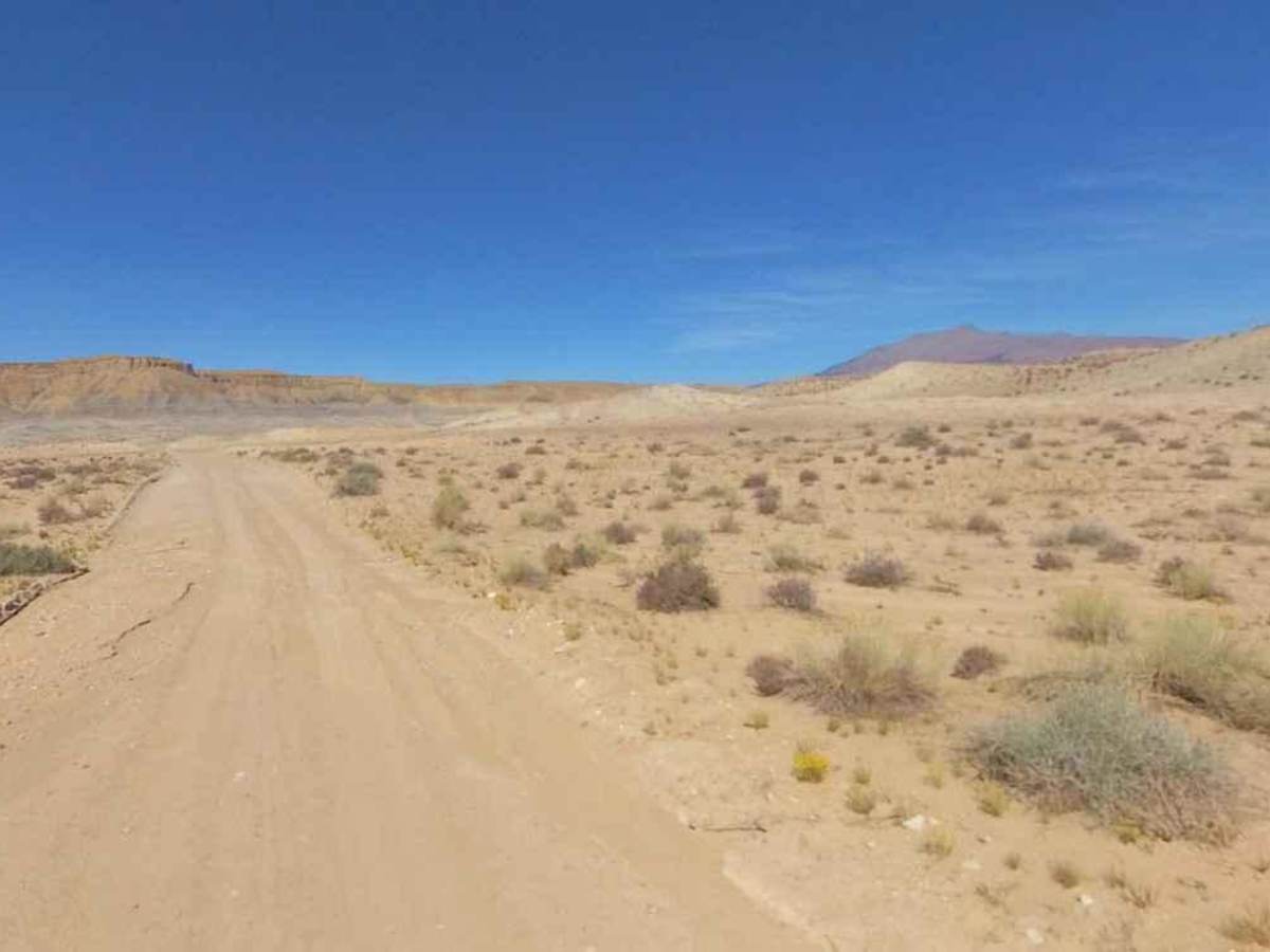 Eggnog Star Springs Road-BLM13000 photo 4