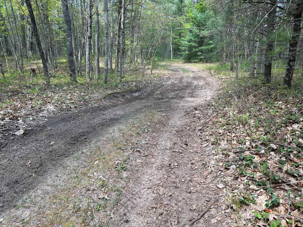FS 5219 trail photo