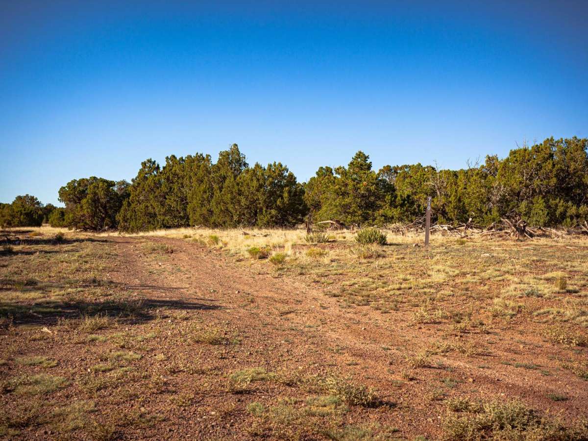 FR710 trail photo