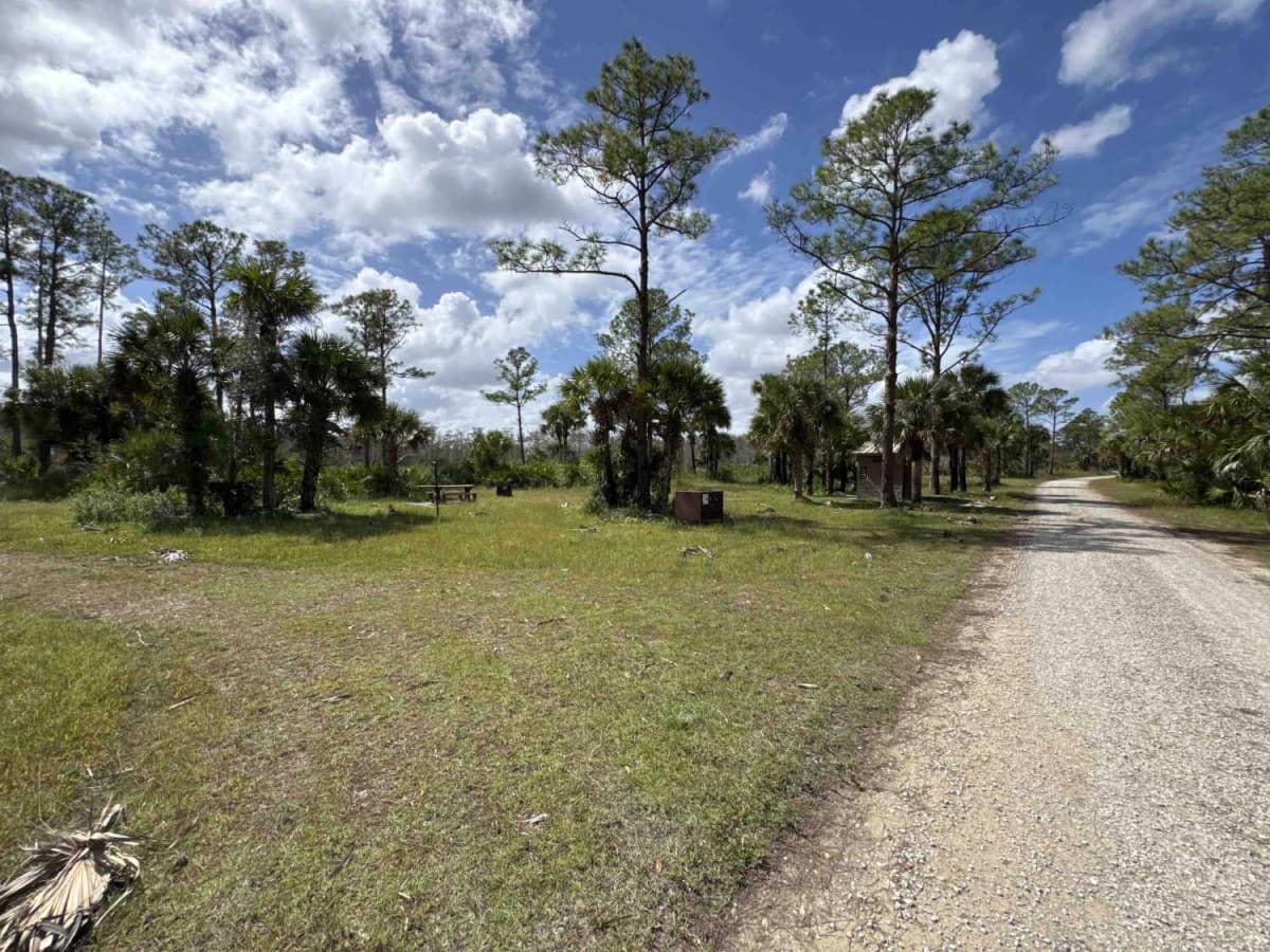 Bear Island Road photo 4