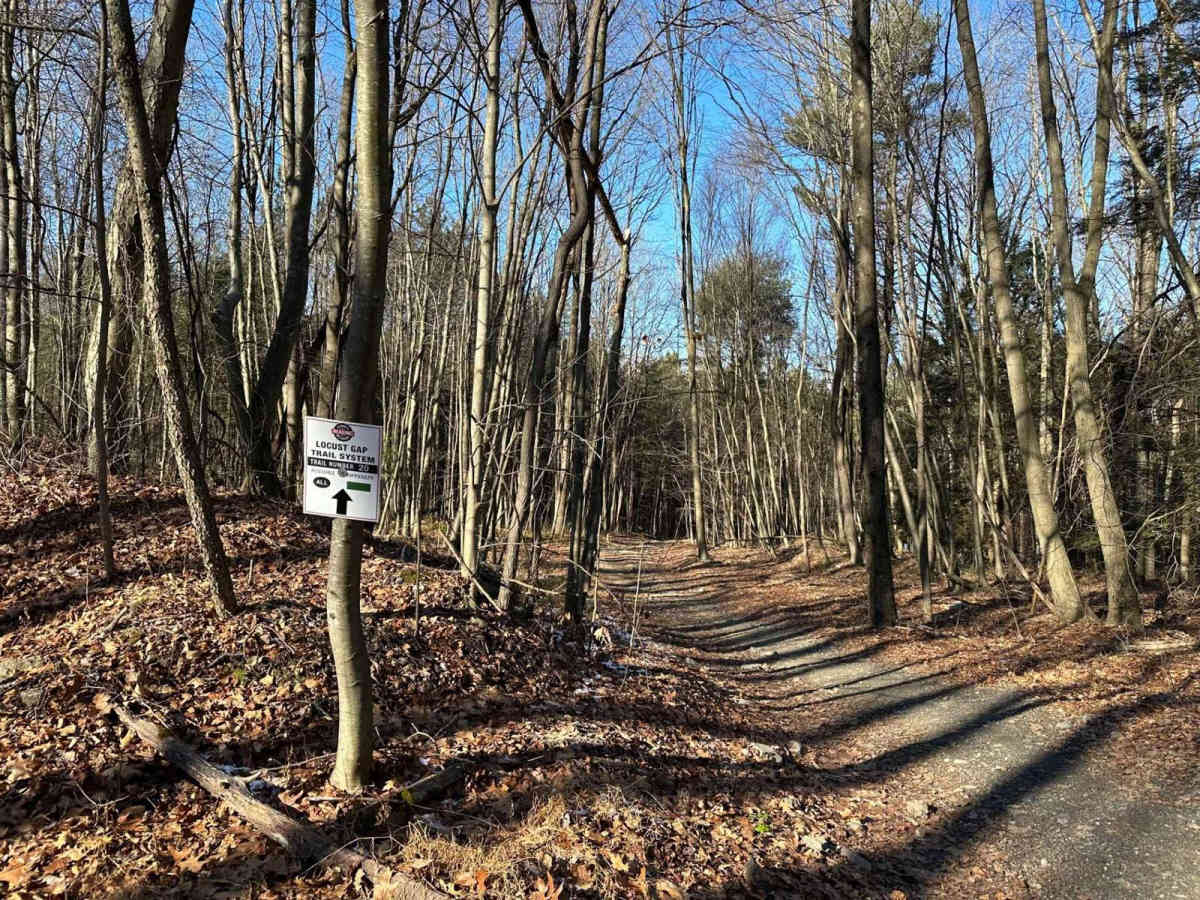 Locust Gap 20 trail photo