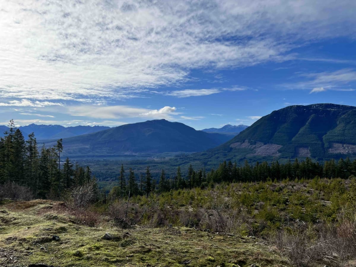 BlackJack Ridge Lookout trail photo