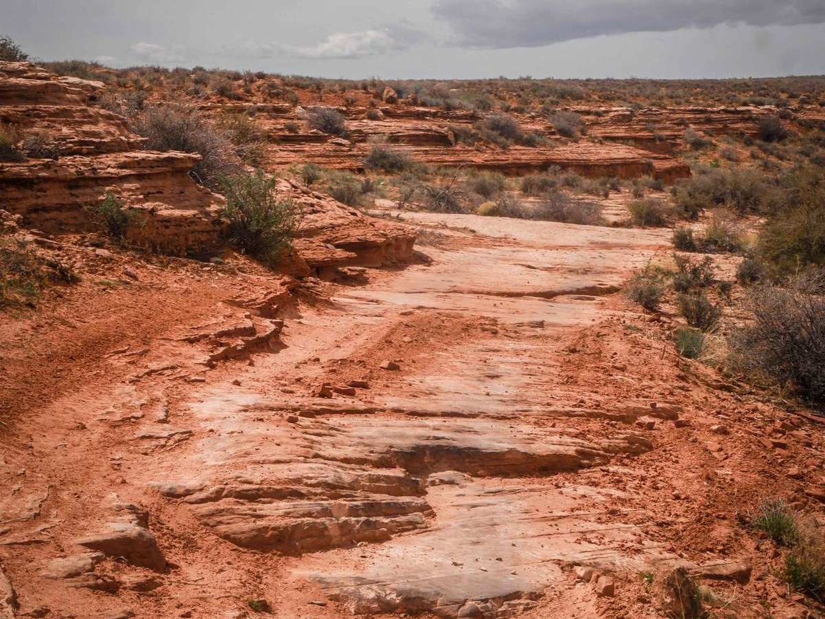 Red Rim photo 2