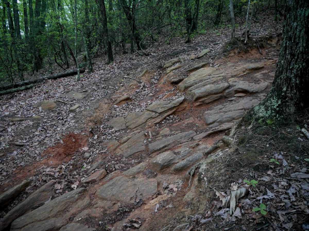 1A trail photo