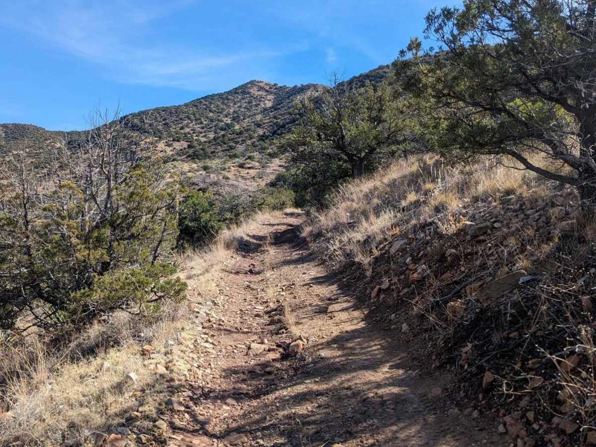 Coal Mine Road FR-4859 photo 2