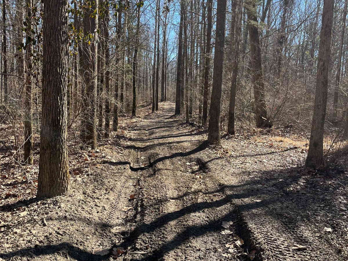 Amax Trail photo 6
