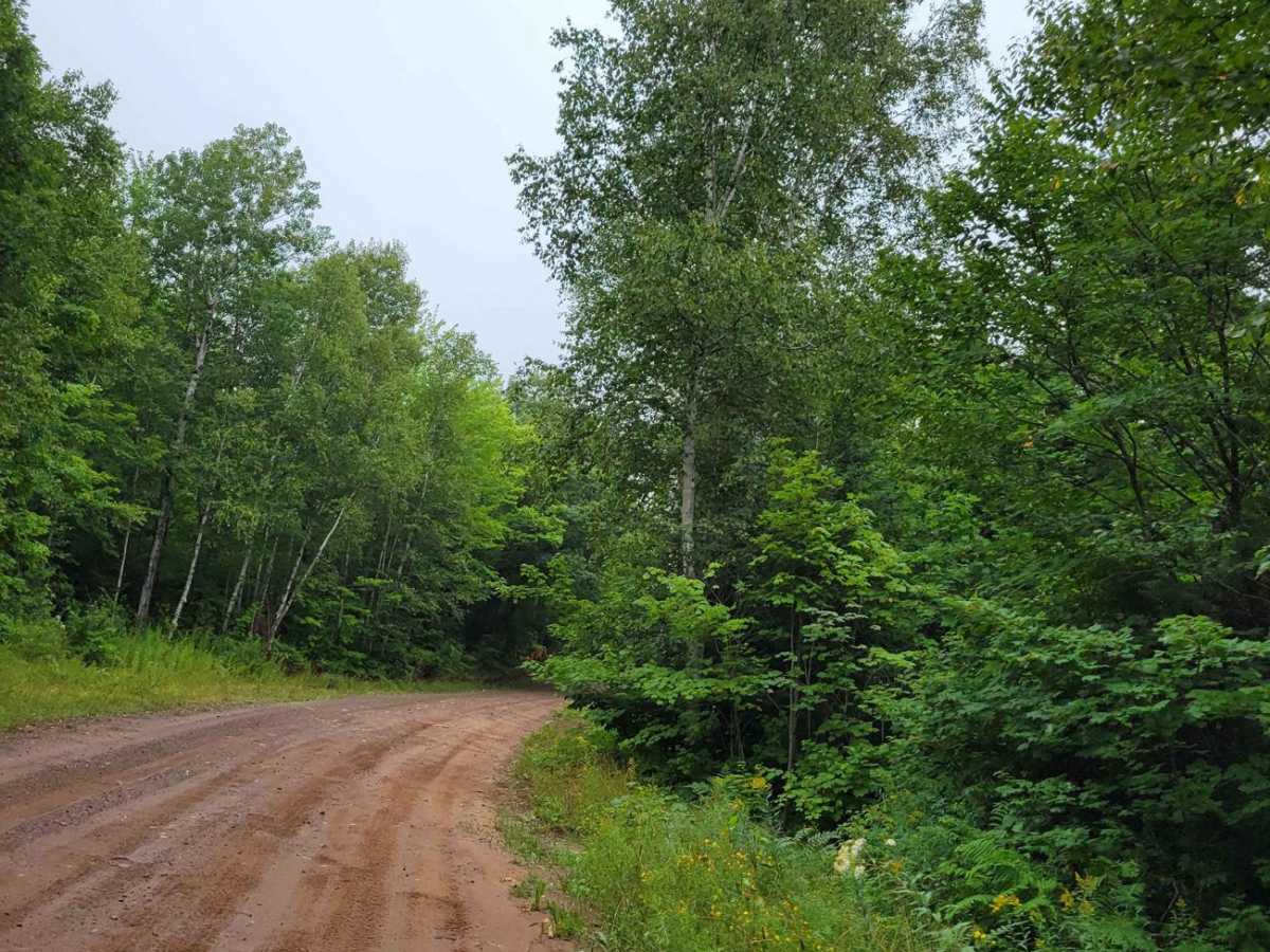 Fish Cove Cut photo 2