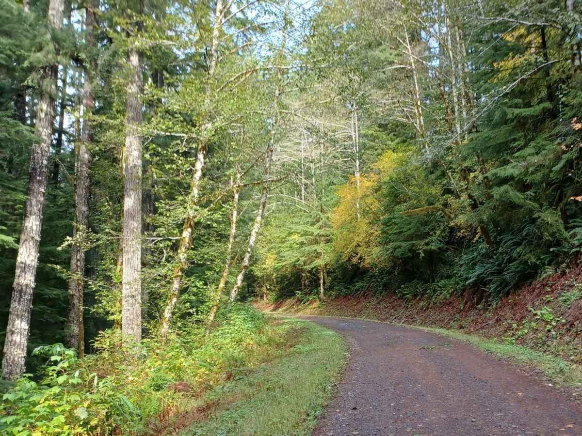 Sourgrass Ridge photo 6