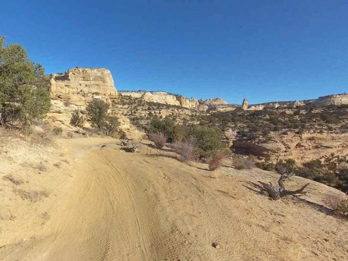 Secret Mesa-BLM648 photo 6