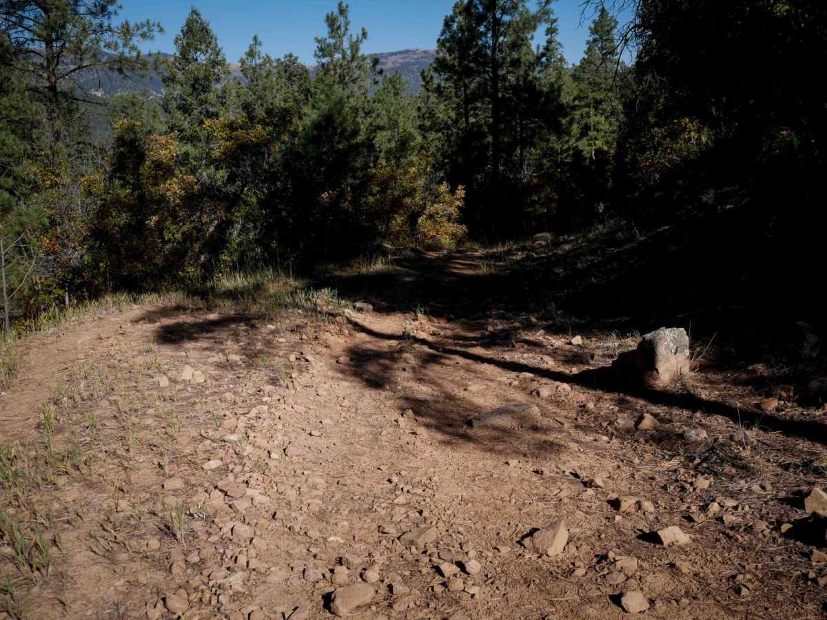 Elk Creek photo 3