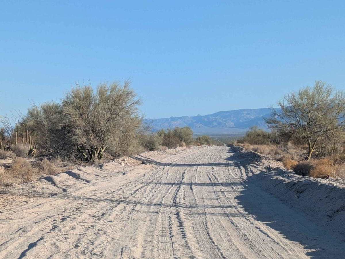 Baja Whoop Line photo 2