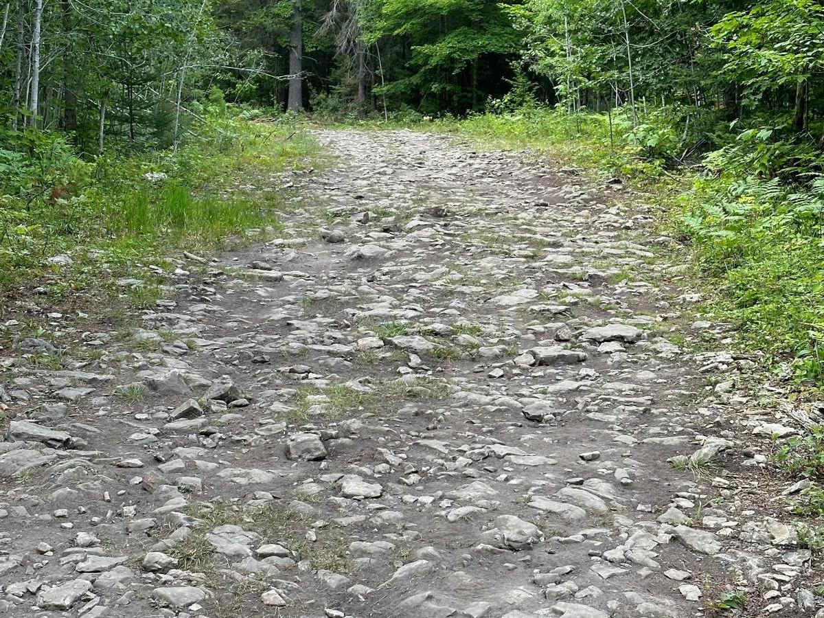 ORV Bypass - 492 photo 5