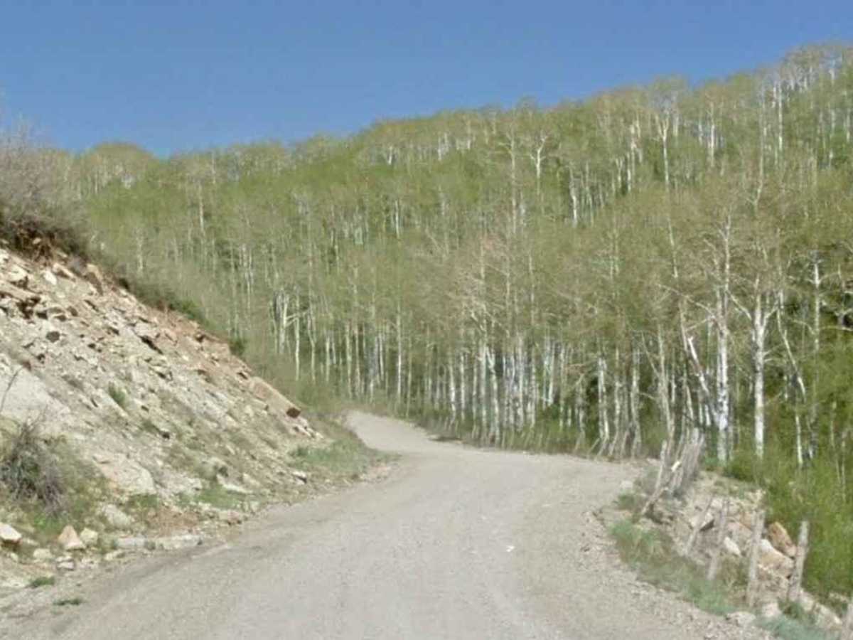 Kolob Terrace Road photo 3
