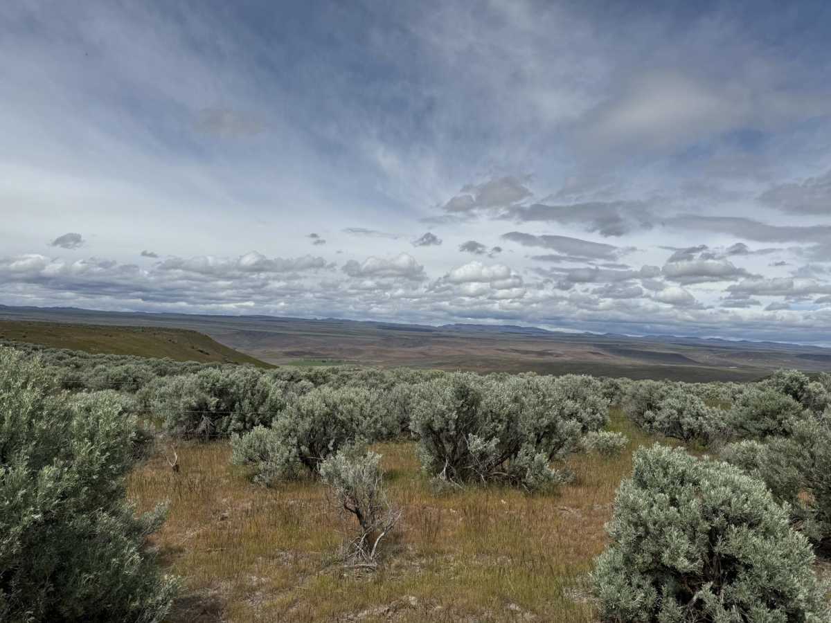 Pumpjack Plateau photo 2