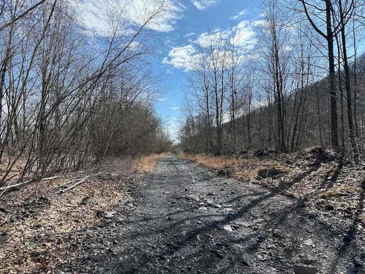 Ashland 95 photo 4