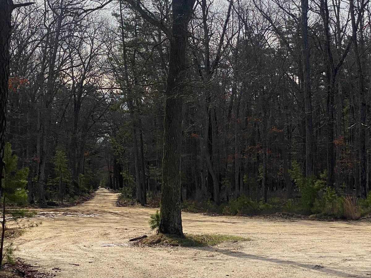 Tuckerton Road Trail photo 5