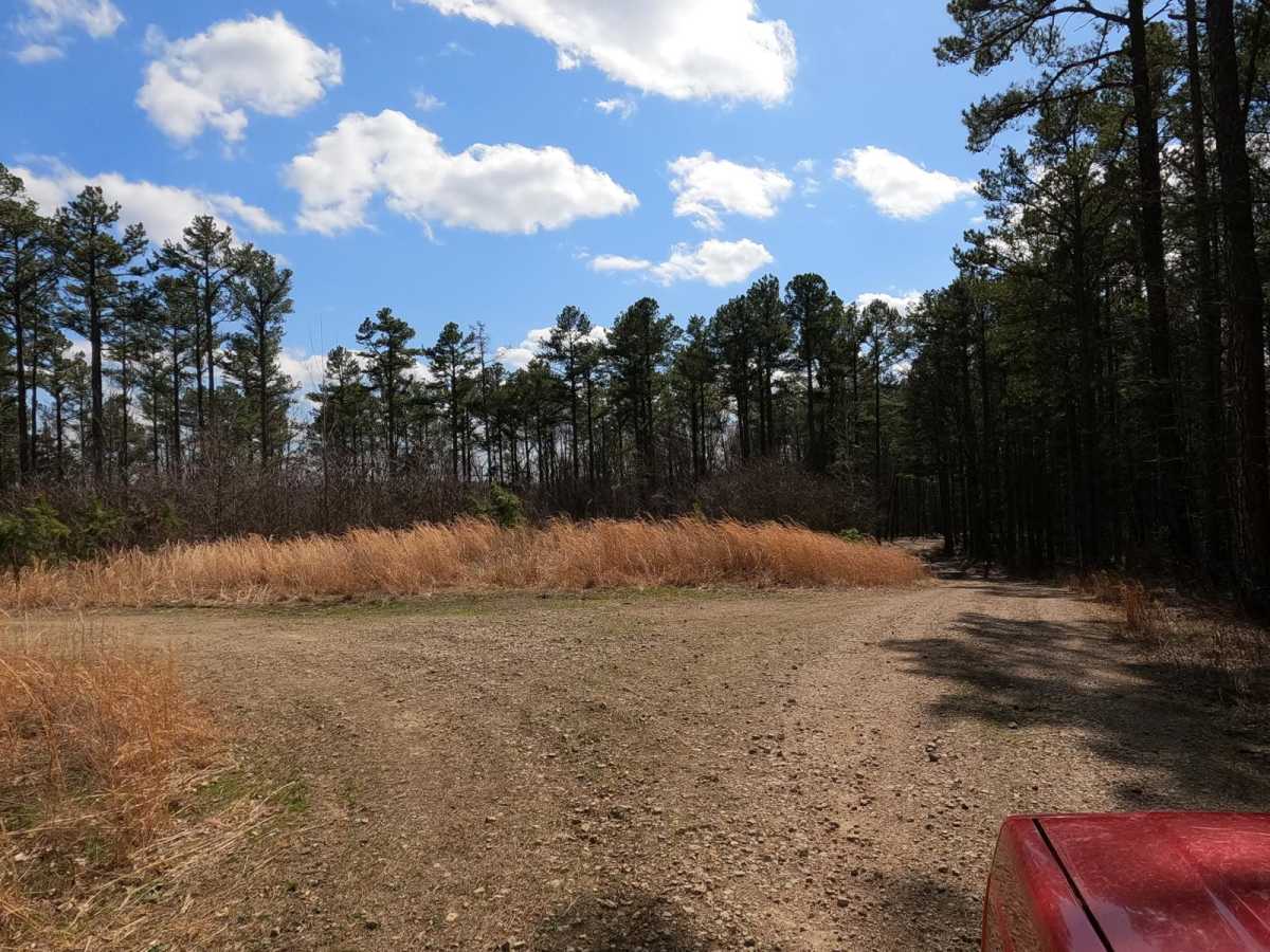 Johns Creek FSR 2170 photo 2