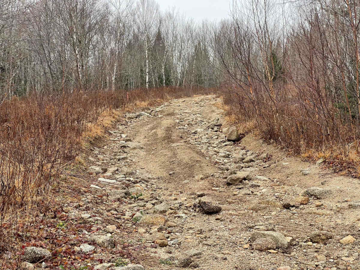 Shady Lake Trail photo 5