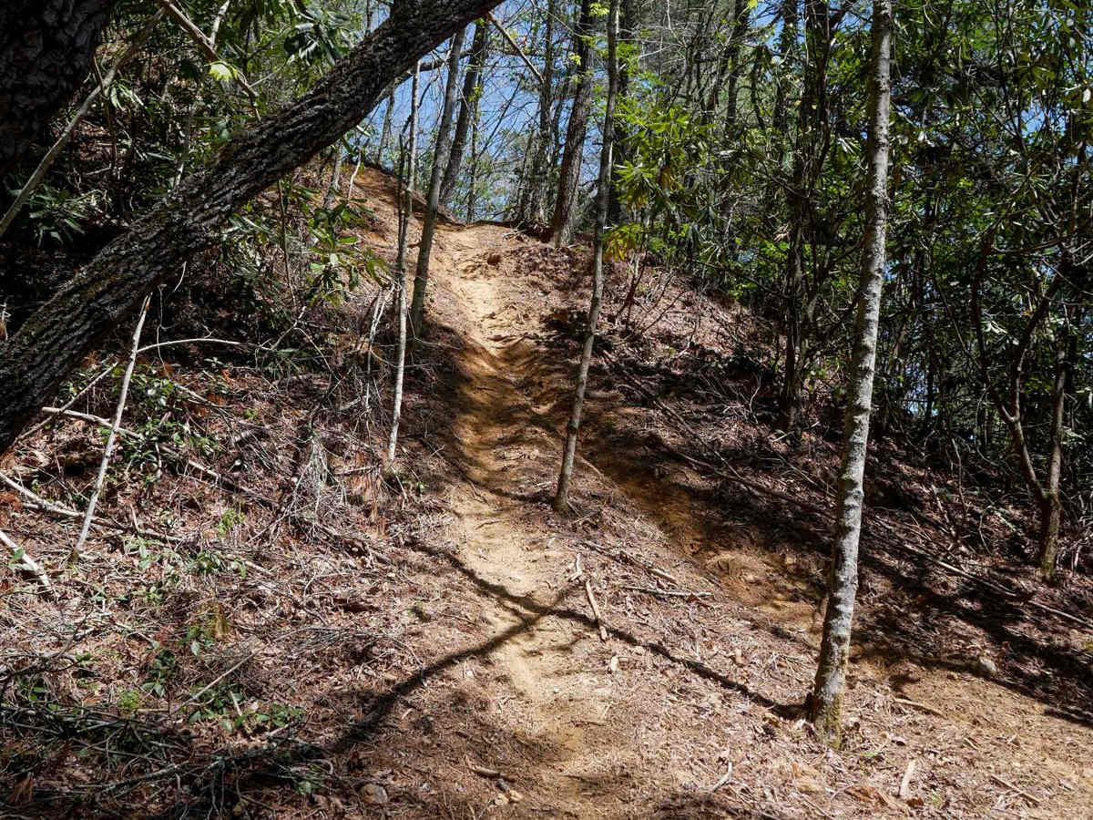 Buzz Kill Hill photo 5