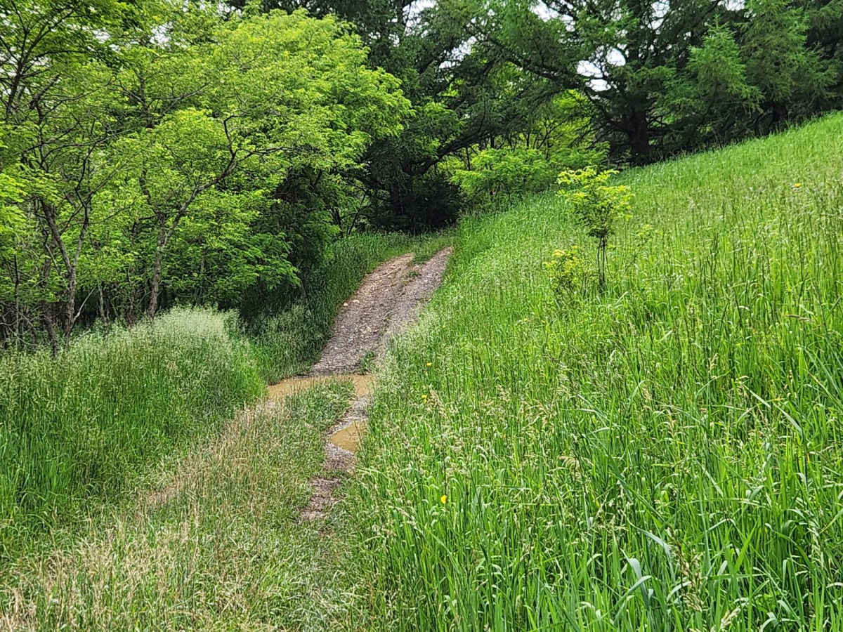Trail 4J - Rock Run Recreation Area photo 3