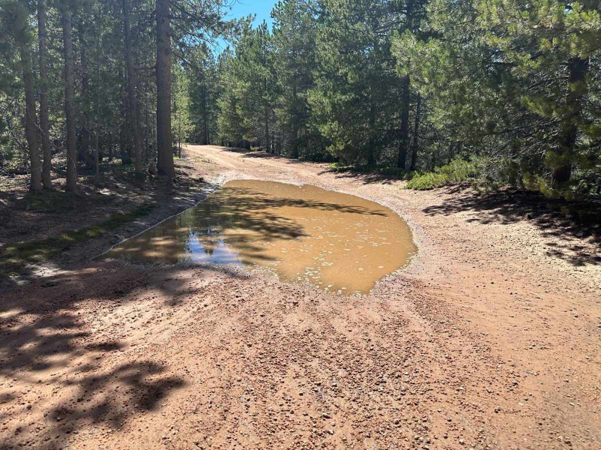 Plum Creek Road photo 4