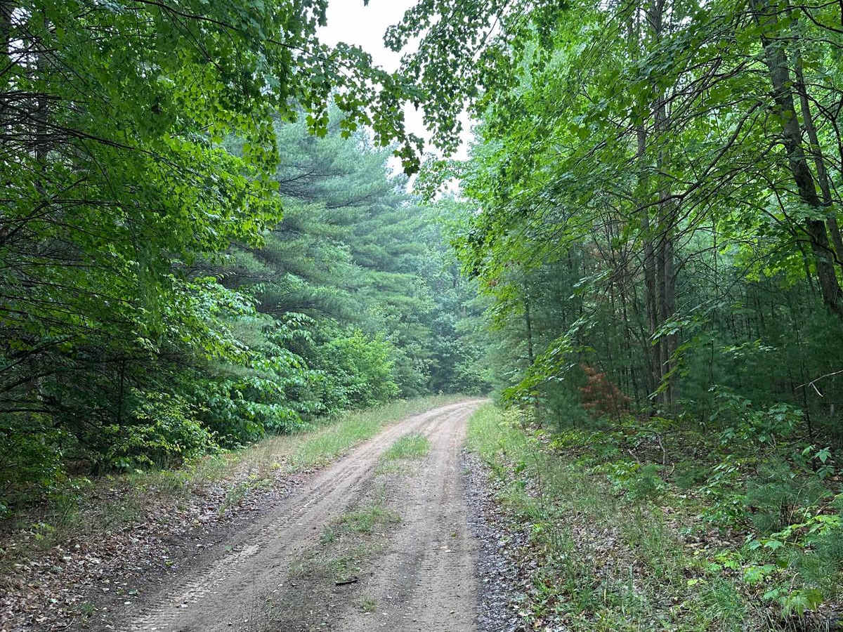 Brozofsky Road photo 5
