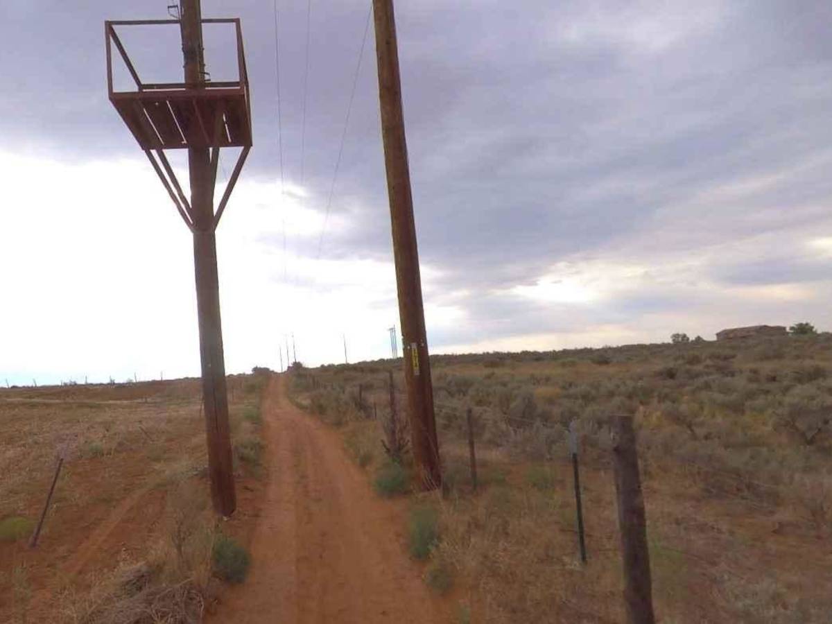 Recapture Rim Trail photo 4