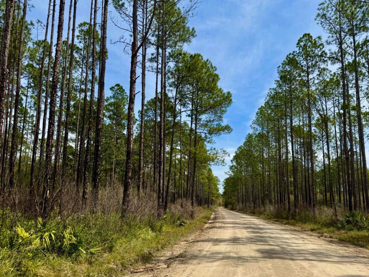 Whitehead Lake Road 186-C photo 2