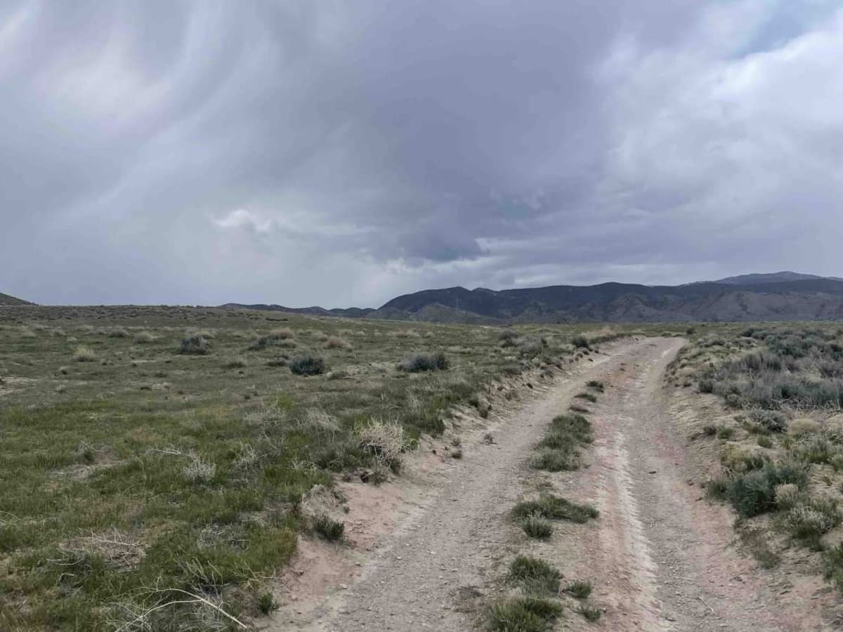 The Open Range photo 4