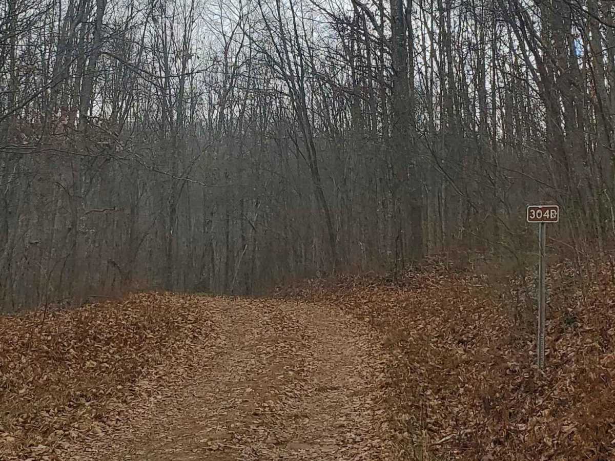 FS304B trail photo