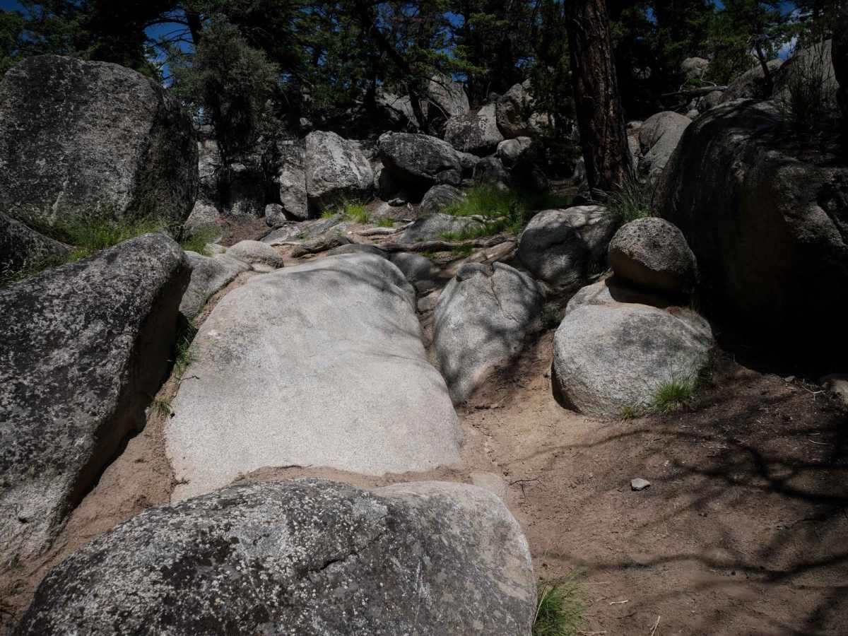 BLM 11 photo 2