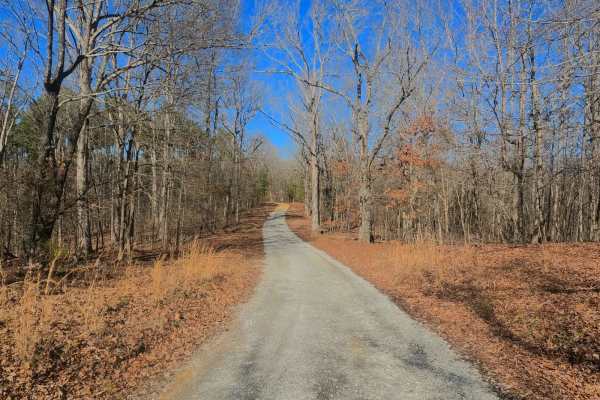 Woodland Road - FS 314