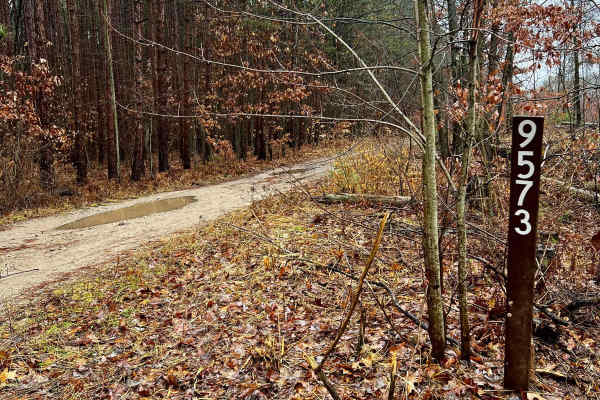Mena Creek Trail (NFS 9573)