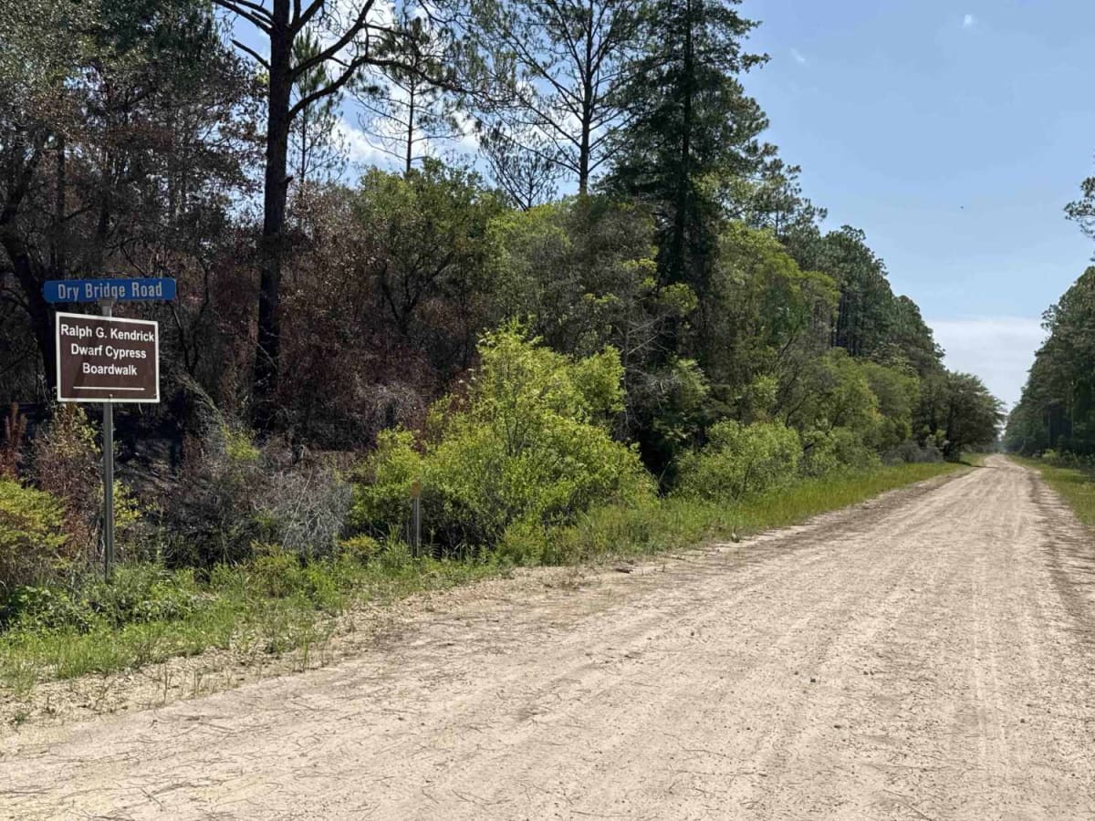Dry Bridge Road trail photo