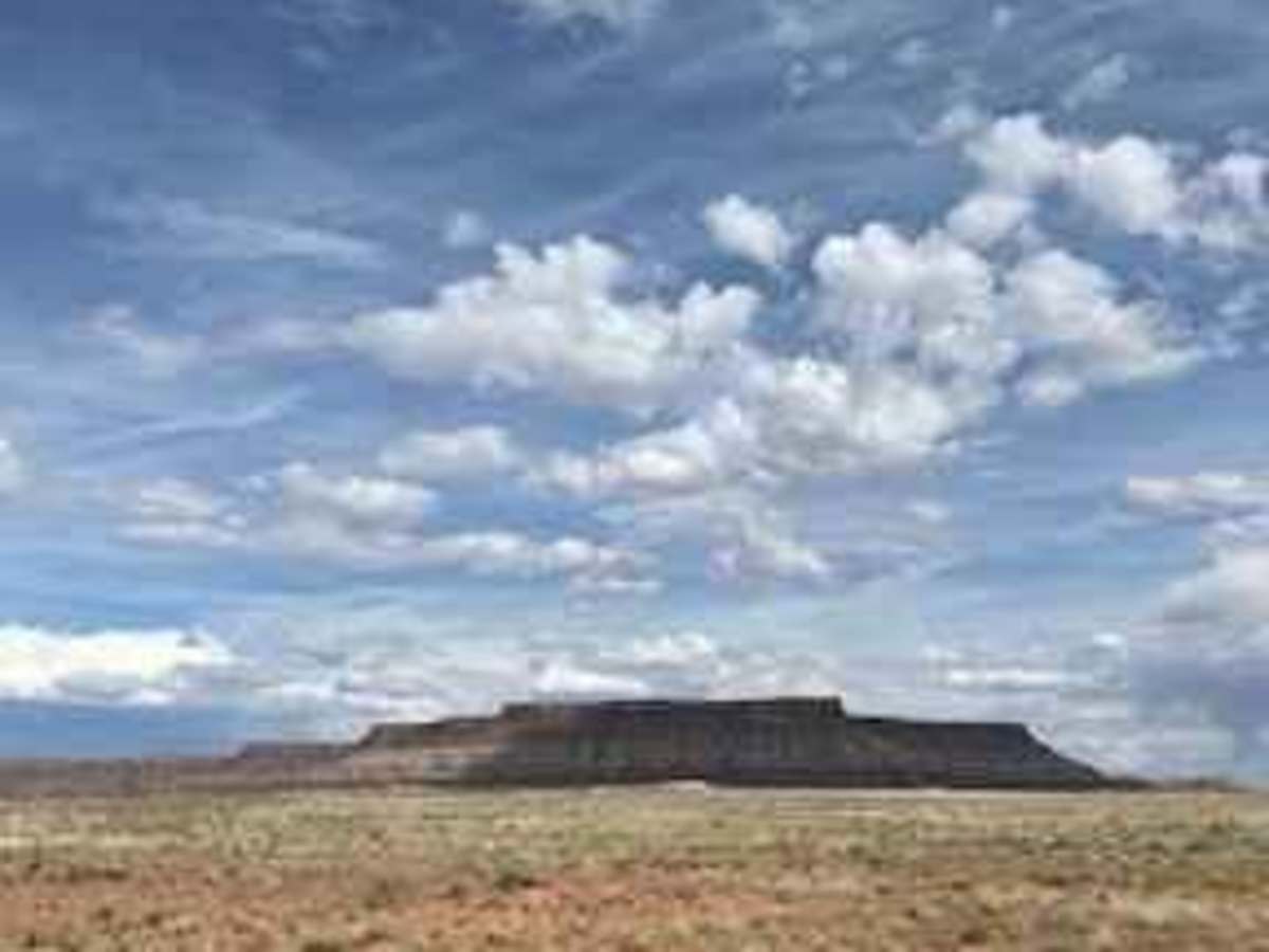 BLM 2086A photo 3