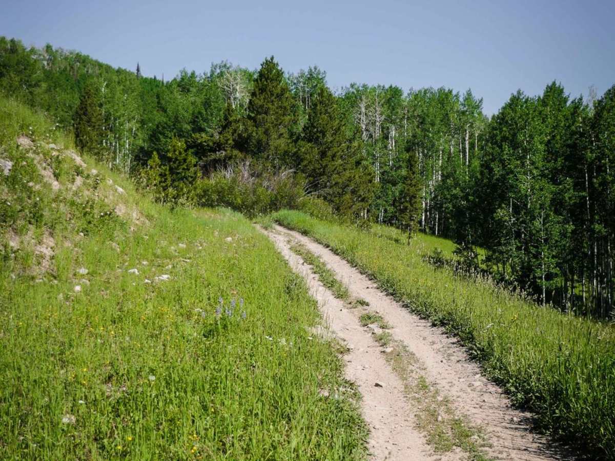 Elkhorn Trail South photo 2