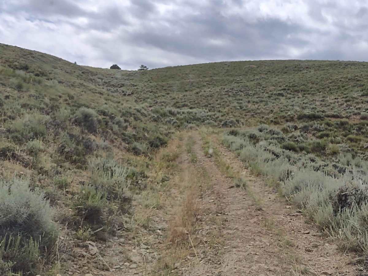 Ridge Runner Loop photo 4